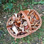 Rykowisko - Caloroczne Nad Jeziorem I Rzeka Feriehus Szczecinek
