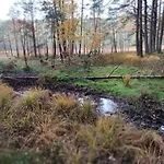 Rykowisko - Caloroczne Nad Jeziorem I Rzeka Prázdninový dům *