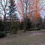 Rykowisko - Całoroczne Nad Jeziorem I Rzeką *