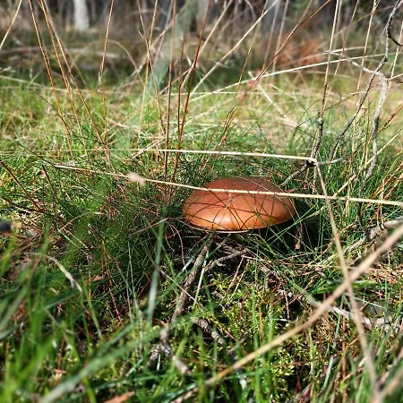 Holiday home Rykowisko - Caloroczne Nad Jeziorem I Rzeka Szczecinek