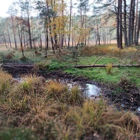 Rykowisko - Caloroczne Nad Jeziorem I Rzeka Tatil Evi *