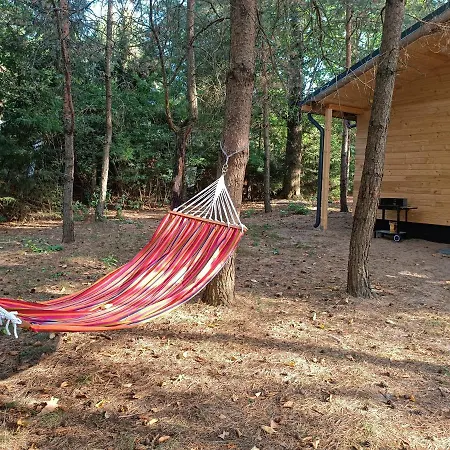 Holiday home Rykowisko - Caloroczne Nad Jeziorem I Rzeka