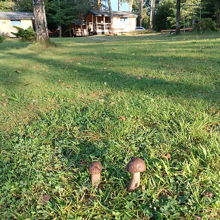 Rykowisko - Caloroczne Nad Jeziorem I Rzeka *